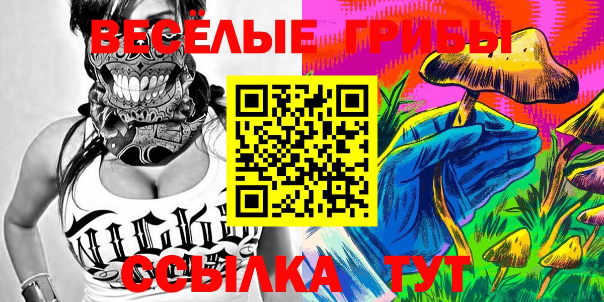Псилоцибиновые грибы GOLDEN TEACHER  Галлюциногенные грибы прущие грибы  Вход с VPN  Белореченск 